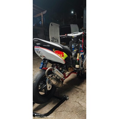 Corto "Torsarm" para 10 "rueda para 8,1" Fireblade "cárter, Piaggio versión (brazo corto) Zip SP.