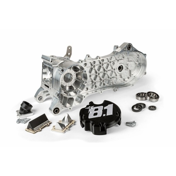 Cárter motor completo 8.1 Fireblade 100cc para eje Ø aumentado de 25mm versión Piaggio (brazo corto para rueda de 10").
